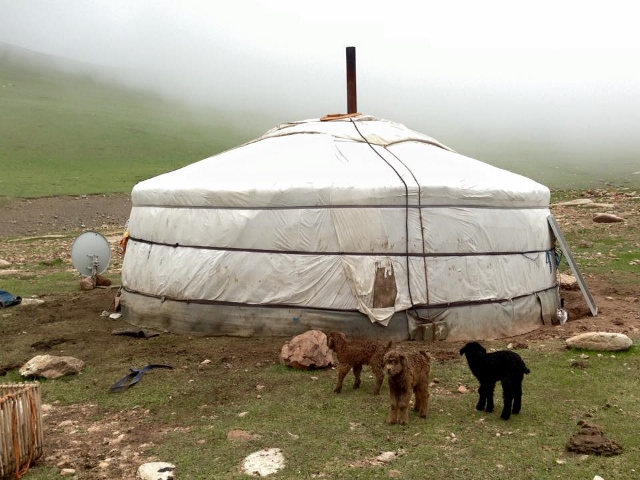 Zedu Ultrasound - Ingrid takes POCUS to Mongolia