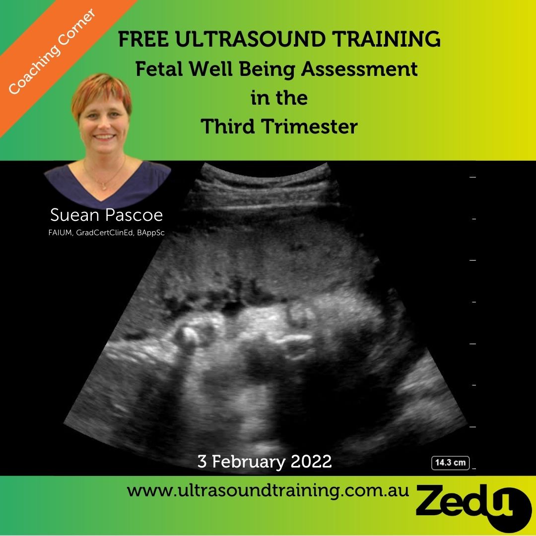 Zedu Coaching Corner - fetal well-being in the thirs trimester
