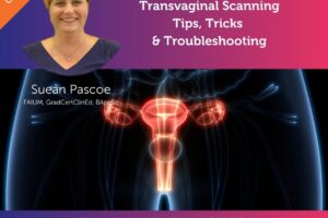 CC 7 April 22 – transvaginal ultrasound