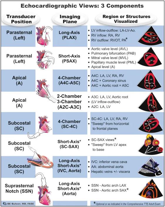 Echocardiographic views - 3 components